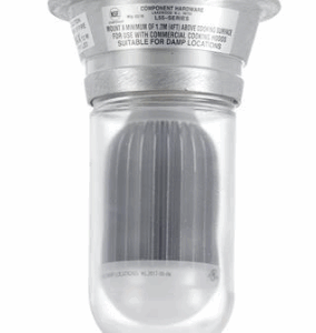 12W Surface Mount Warm White LED Hood Light With Clear Coated Tempered Glass Globe